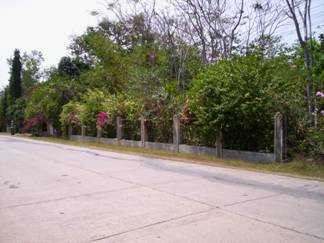 <<<View along Fence

Here you see the 33m street frontage along Abanico Road.

As you might see on the pictures our lot is currently the first lot on the right if you are coming from the Highway.

It is easy to access public transportation from the corner of Highway/Abanico Road which is about 120m away.
