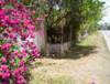 Thumbnail / Link for Front Fence / Hedge - Along the Street